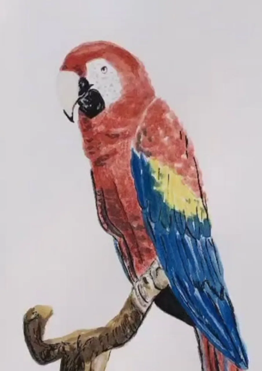 Colorful Perch by Andrea Bello — painting of a scarlet macaw with red, blue, and yellow plumage perched on a branch.